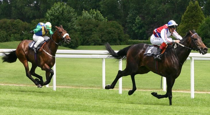 Opções Binárias e Forex: Diferenças e Conexões 18 Qual é Investimento é Melhor Forex ou Opções Binárias