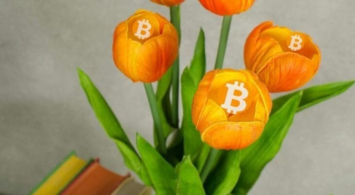 O Que foi a Tulipomania? Bitcoin é Uma Bolha? 15 O Que foi a Tulipomania? Bitcoin é Uma Bolha?