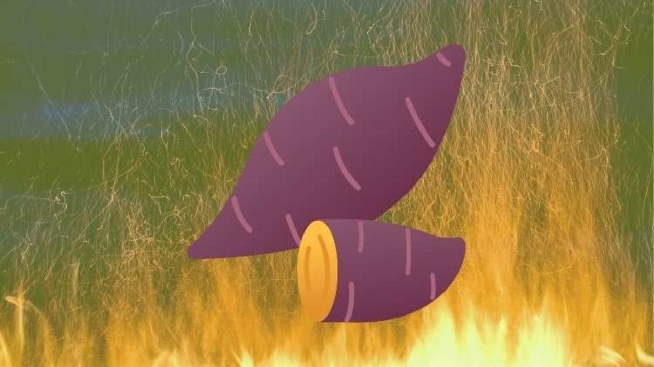 O que é Yam Protocol (YAM)? 10 Yam Protocol (YAM) crypto