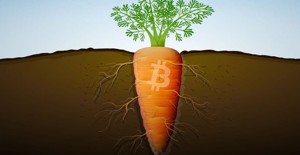 Atualização do Bitcoin Taproot: O Que Isso Significa? 3 Atualização do Bitcoin Taproot: O Que Isso Significa