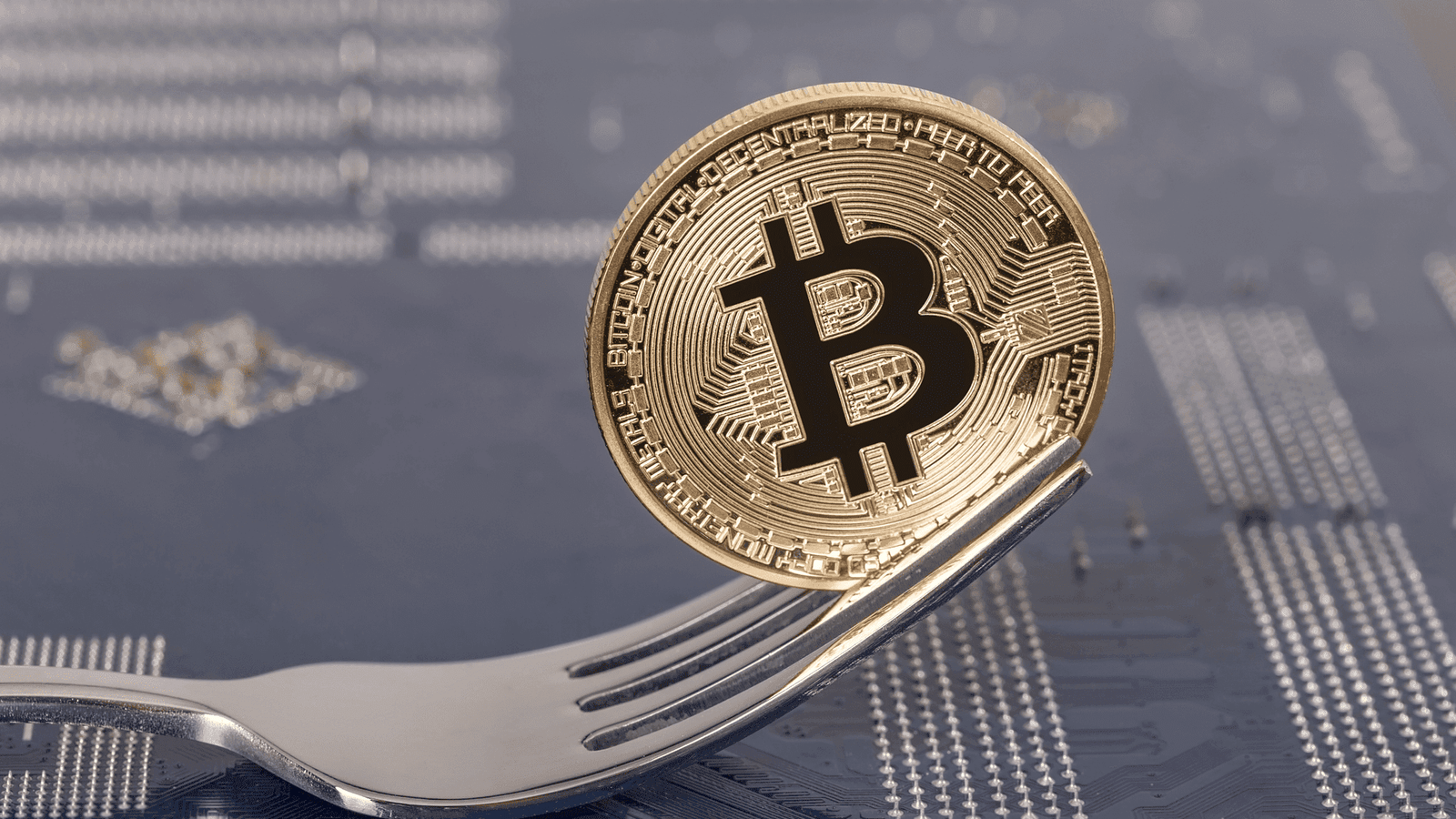 O que é um Fork Bitcoin (Garfo)