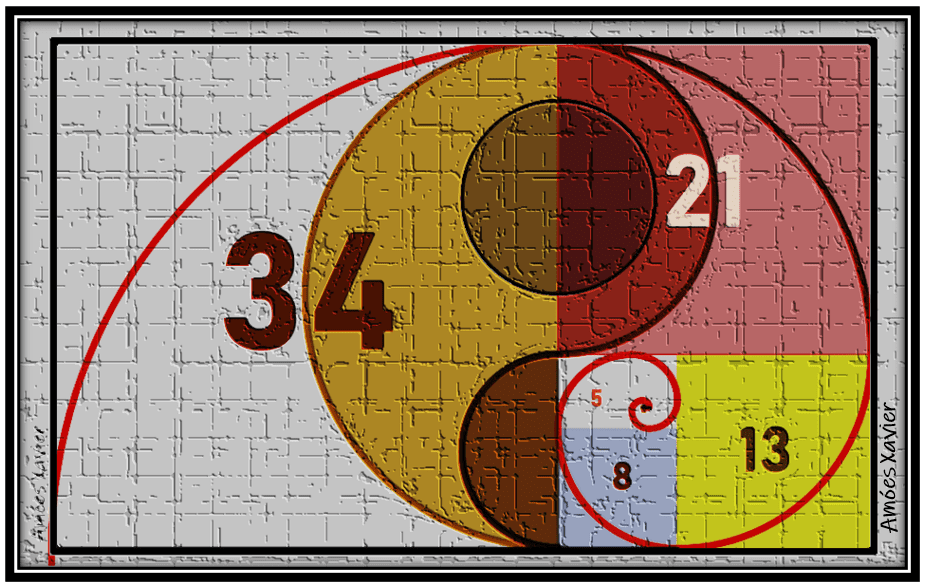 Relação de Fibonacci no Mercado Forex 10 Relação de Fibonacci no Mercado Forex