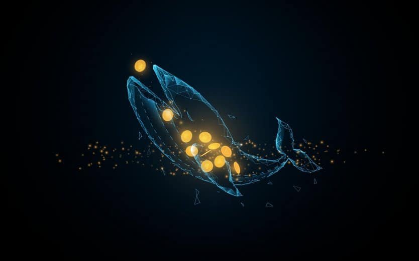 Baleias Cripto: O que são e como identificá-las 8 O que são as Baleias Cripto e como Identificá-las