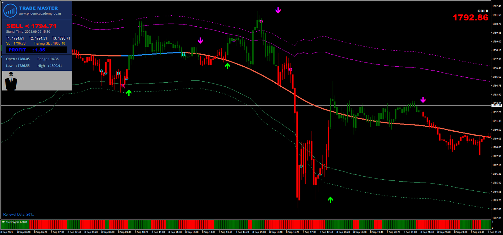 Estratégia Forex: Sinais Precisos para Maximizar